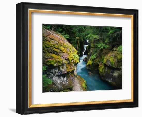 Avalanche Creek-James Randklev-Framed Photographic Print