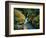 Avalanche Creek-James Randklev-Framed Photographic Print