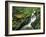 Avalanche Gorge, Glacier National Park, Montana, USA-Chuck Haney-Framed Photographic Print