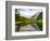 Avalanche Lake, Glacier National Park, Montana, USA-Jamie & Judy Wild-Framed Premium Photographic Print