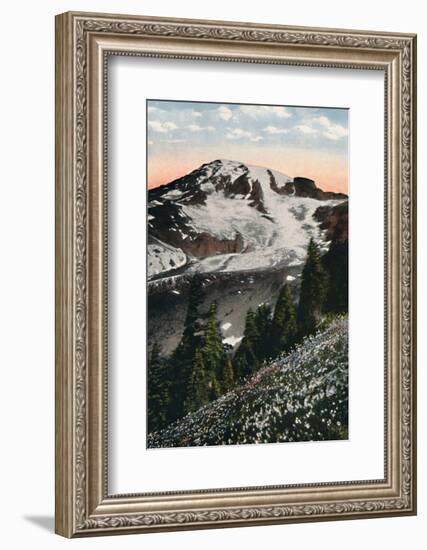 'Avalanche Lilies, growing on Mount Rainier', c1916-Asahel Curtis-Framed Photographic Print