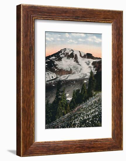 'Avalanche Lilies, growing on Mount Rainier', c1916-Asahel Curtis-Framed Photographic Print