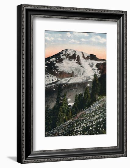 'Avalanche Lilies, growing on Mount Rainier', c1916-Asahel Curtis-Framed Photographic Print