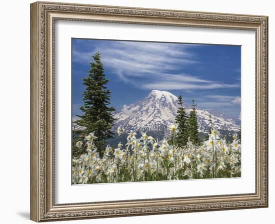 Avalanche Lilies II-Donald Paulson-Framed Giclee Print