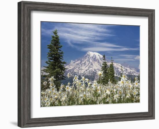 Avalanche Lilies II-Donald Paulson-Framed Giclee Print