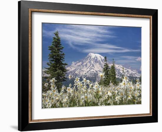 Avalanche Lilies II-Donald Paulson-Framed Giclee Print