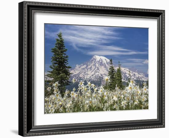 Avalanche Lilies II-Donald Paulson-Framed Giclee Print