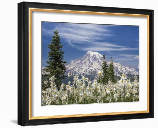 Avalanche Lilies II-Donald Paulson-Framed Giclee Print