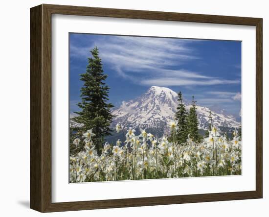 Avalanche Lilies II-Donald Paulson-Framed Giclee Print