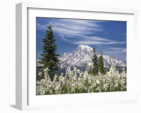 Avalanche Lilies II-Donald Paulson-Framed Giclee Print