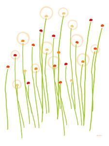 Orange Dandelion by Avalisa