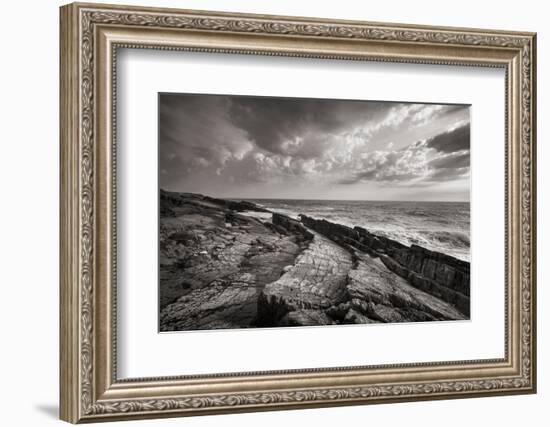 Avalon Peninsula-Alan Majchrowicz-Framed Photographic Print