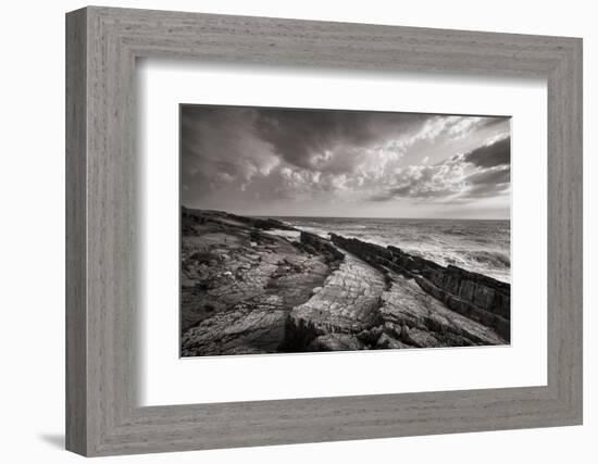 Avalon Peninsula-Alan Majchrowicz-Framed Photographic Print