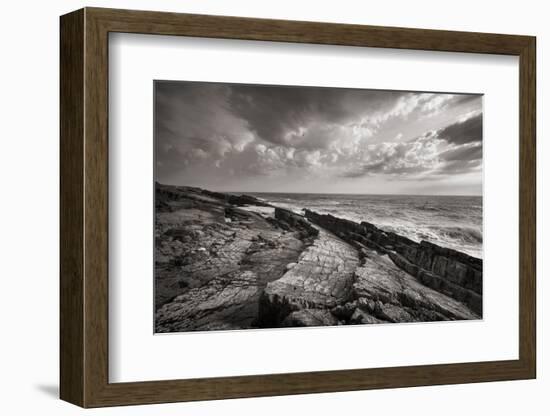 Avalon Peninsula-Alan Majchrowicz-Framed Photographic Print