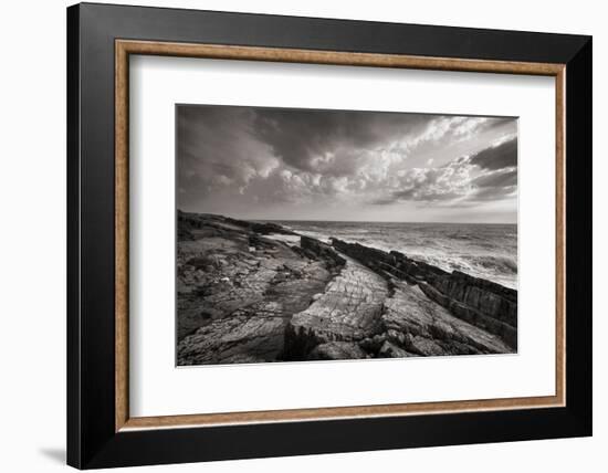 Avalon Peninsula-Alan Majchrowicz-Framed Photographic Print