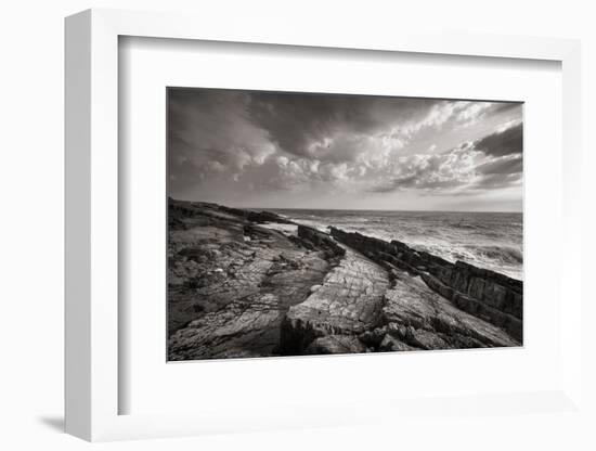 Avalon Peninsula-Alan Majchrowicz-Framed Photographic Print