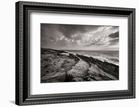 Avalon Peninsula-Alan Majchrowicz-Framed Photographic Print