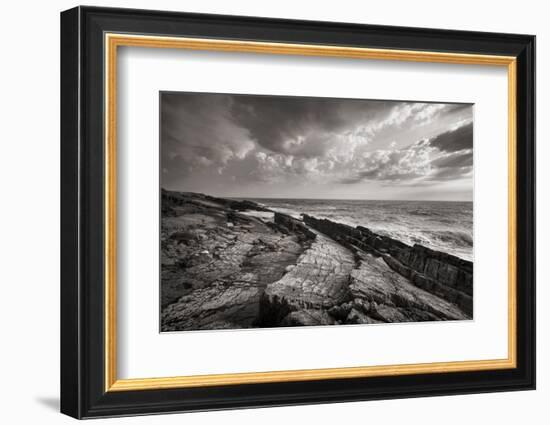 Avalon Peninsula-Alan Majchrowicz-Framed Photographic Print