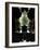 Avante-Tim Kahane-Framed Photographic Print