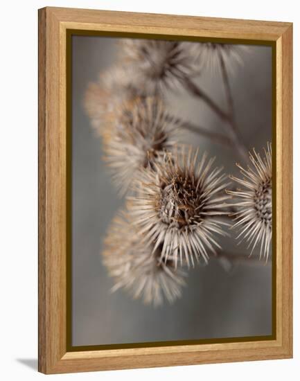 Avantgarde-Design Fabrikken-Framed Premier Image Canvas