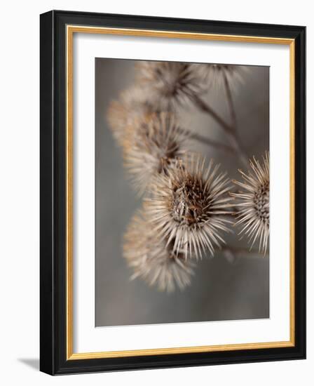 Avantgarde-Design Fabrikken-Framed Photographic Print