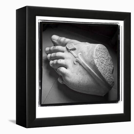 Avayo-Craig Satterlee-Framed Premier Image Canvas