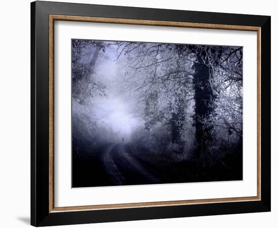 Avayo-Tim Kahane-Framed Photographic Print