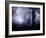 Avayo-Tim Kahane-Framed Photographic Print