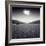 Avazio-Luis Beltran-Framed Photographic Print