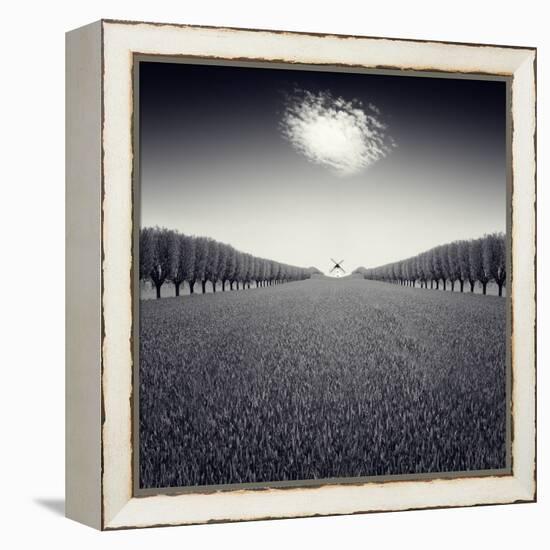 Avazio-Luis Beltran-Framed Premier Image Canvas