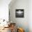 Avazio-Luis Beltran-Framed Premier Image Canvas displayed on a wall