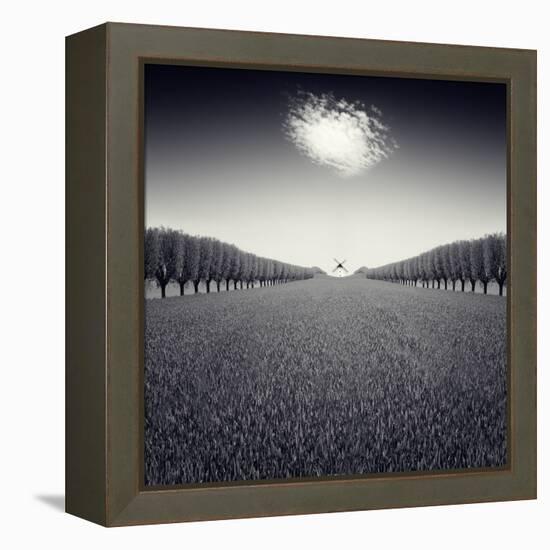 Avazio-Luis Beltran-Framed Premier Image Canvas