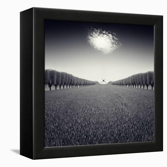 Avazio-Luis Beltran-Framed Premier Image Canvas