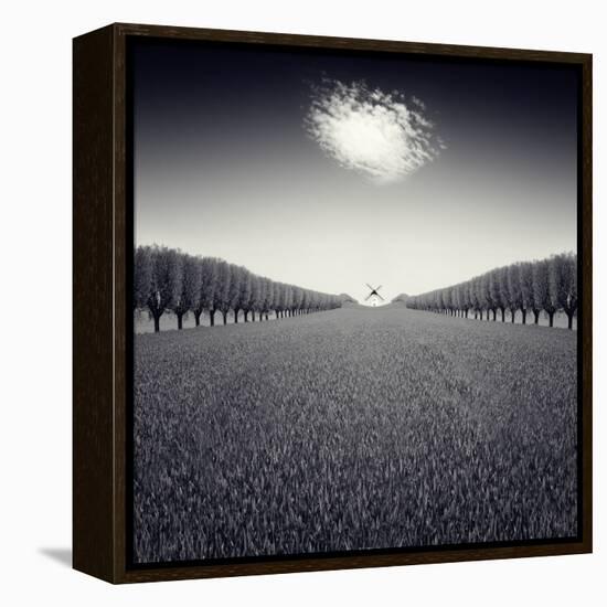 Avazio-Luis Beltran-Framed Premier Image Canvas