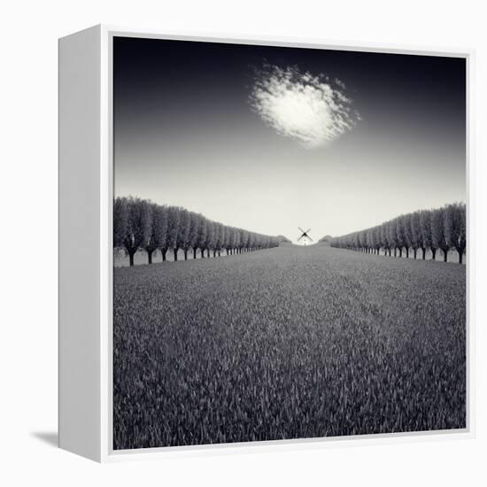 Avazio-Luis Beltran-Framed Premier Image Canvas