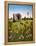 Avebury, 1983-Frances Broomfield-Framed Premier Image Canvas