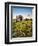 Avebury, 1983-Frances Broomfield-Framed Giclee Print