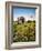 Avebury, 1983-Frances Broomfield-Framed Giclee Print