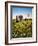 Avebury, 1983-Frances Broomfield-Framed Giclee Print