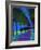 Avenue, 2008-Paul Powis-Framed Giclee Print