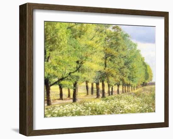 Avenue De L'Arbre-Tania Bello-Framed Giclee Print