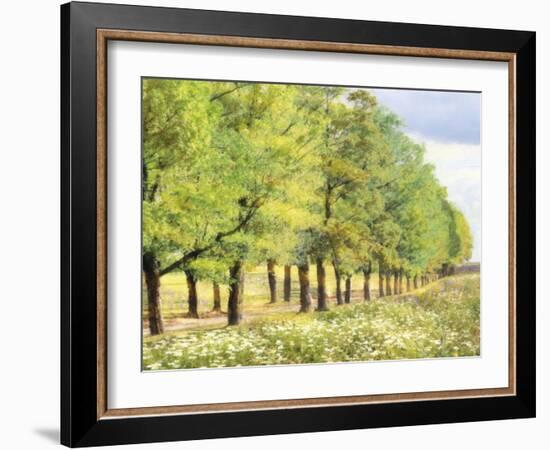 Avenue De L'Arbre-Tania Bello-Framed Giclee Print