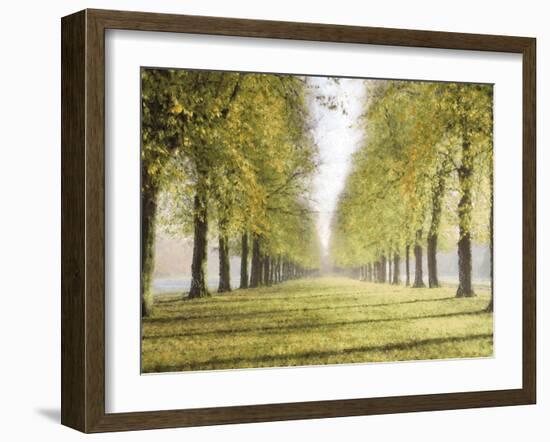 Avenue Des Arbres-Tania Bello-Framed Giclee Print