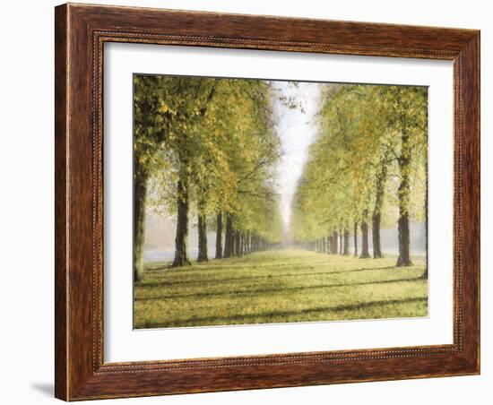 Avenue Des Arbres-Tania Bello-Framed Giclee Print