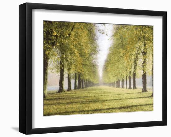 Avenue Des Arbres-Tania Bello-Framed Giclee Print