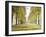 Avenue Des Arbres-Tania Bello-Framed Giclee Print