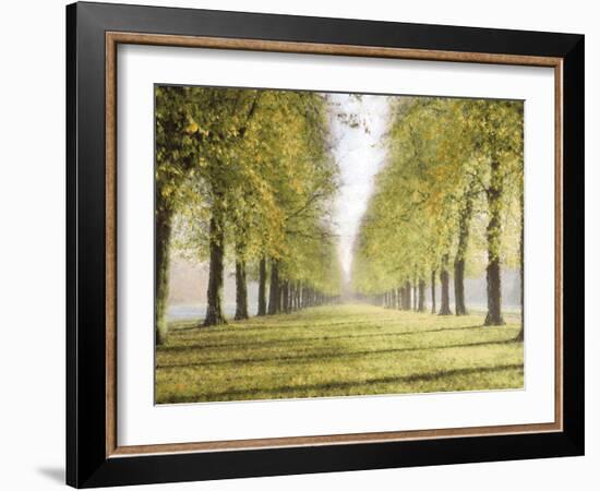 Avenue Des Arbres-Tania Bello-Framed Giclee Print