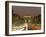 Avenue Des Champs Elysees and the Arc De Triomphe at Night, Paris, France, Europe-Neale Clarke-Framed Photographic Print