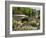 Avenue Gardens, Regent's Park, London, England, United Kingdom, Europe-Ethel Davies-Framed Photographic Print