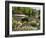 Avenue Gardens, Regent's Park, London, England, United Kingdom, Europe-Ethel Davies-Framed Photographic Print